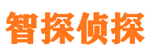 金山智探私家侦探公司